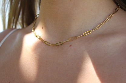 "Daisy" Paperclip Necklace