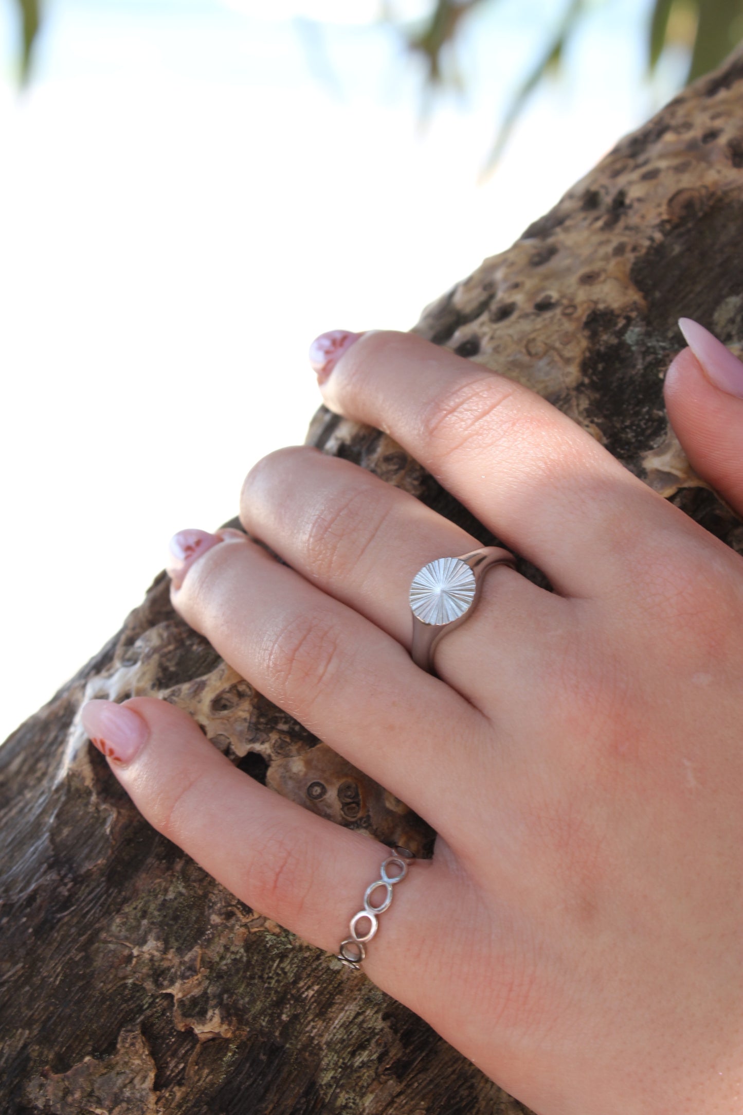 "Protea" Signet Ring