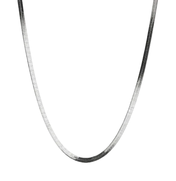 Silver chain necklace on a white background